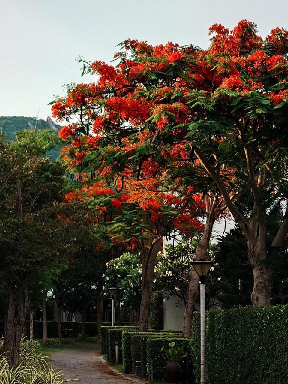 Oceanami Resort & Beach Club Long Hai Buitenkant foto